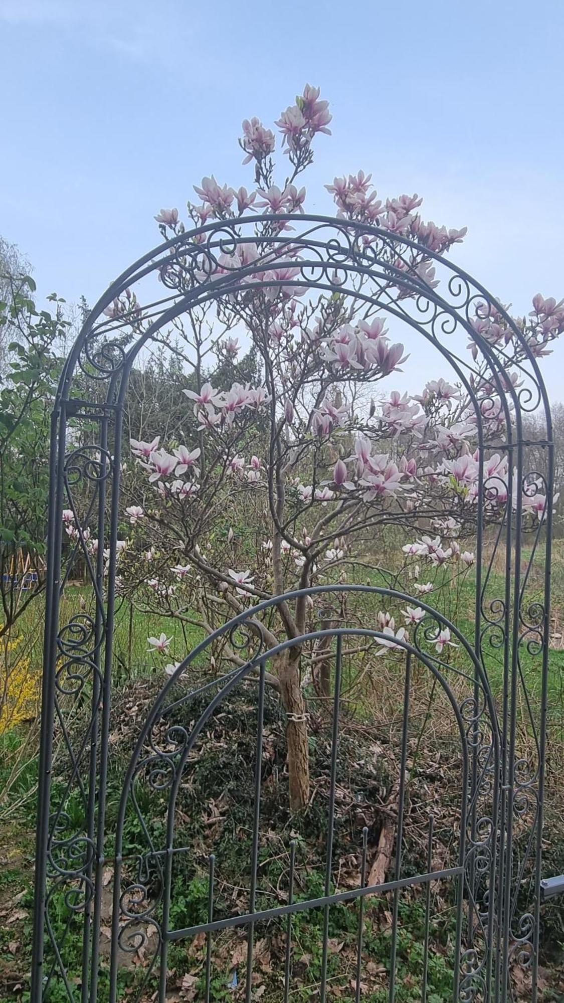 Altmarkblick Erbenhausen Bagian luar foto