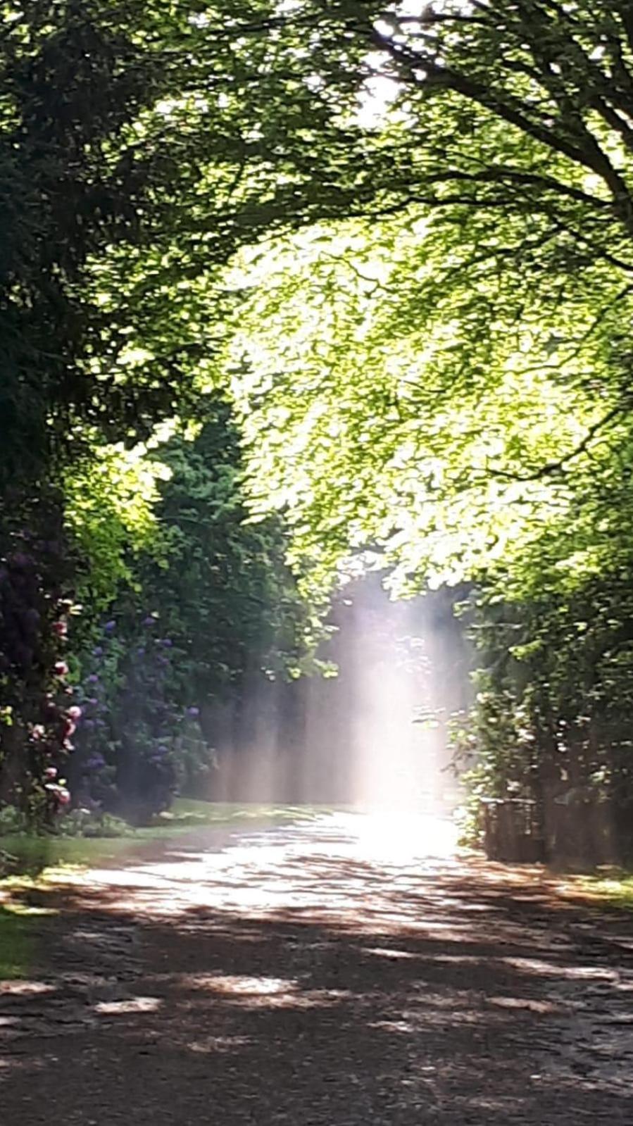 Altmarkblick Erbenhausen Bagian luar foto