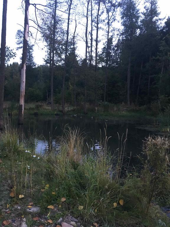 Altmarkblick Erbenhausen Bagian luar foto